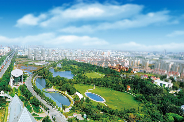 1558499463125523.jpg 泰豐600.jpg